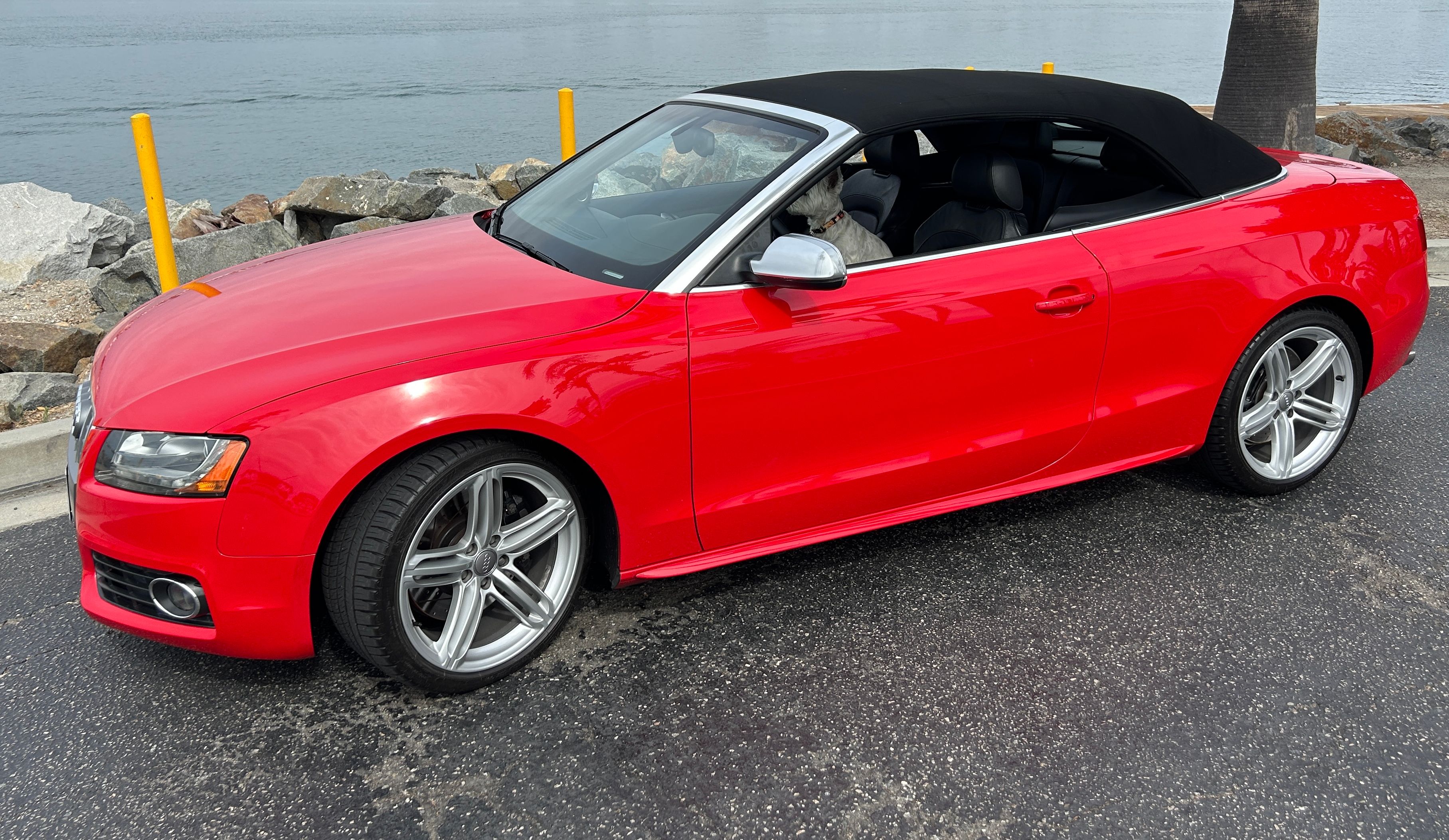 Used 2010 Audi S5 Prestige AWD/4WD image 6