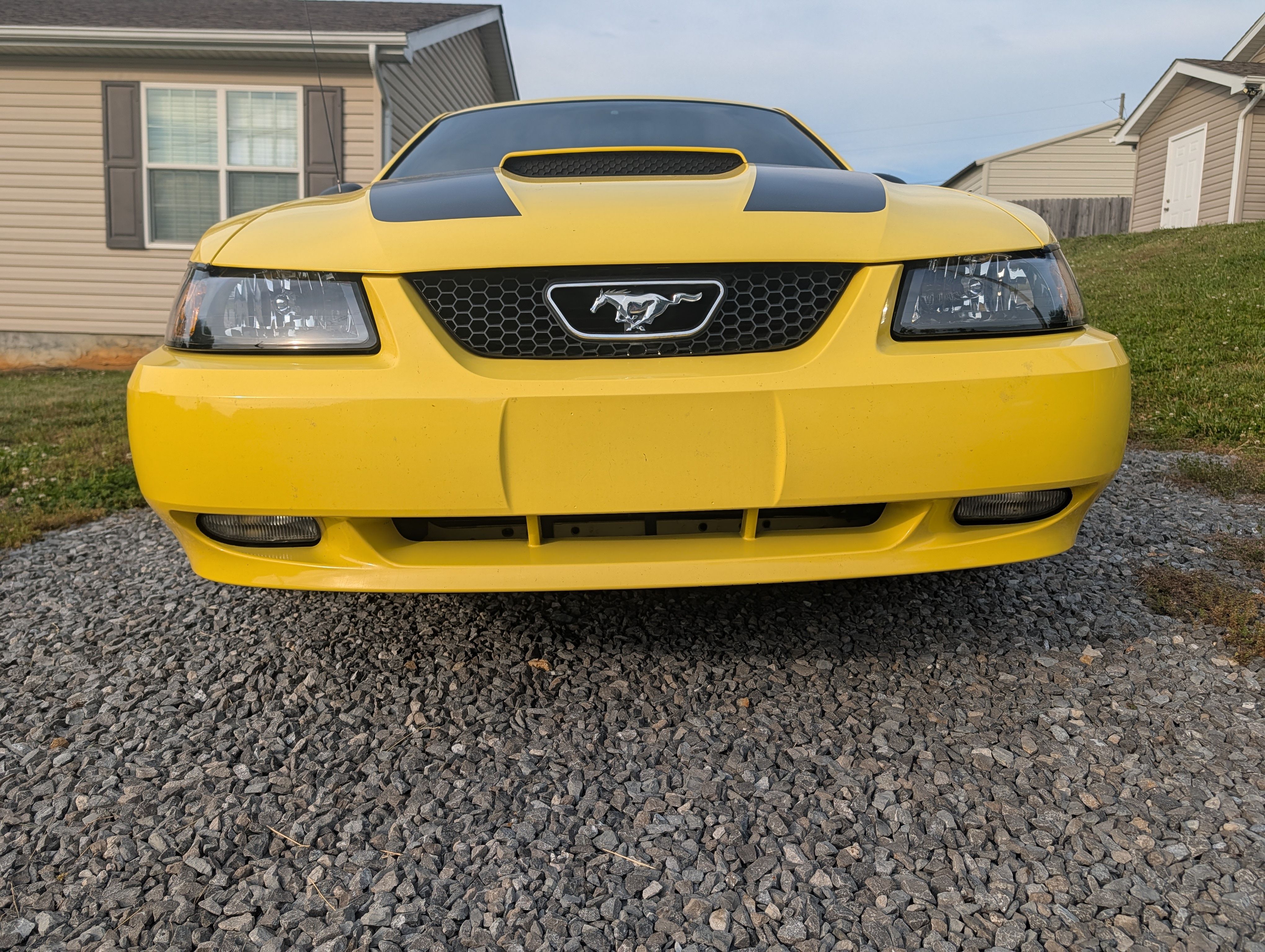 Used 2000 Ford Mustang GT RWD image 9