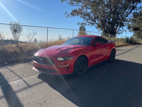Used 2019 Ford Mustang Coupe RWD image 5
