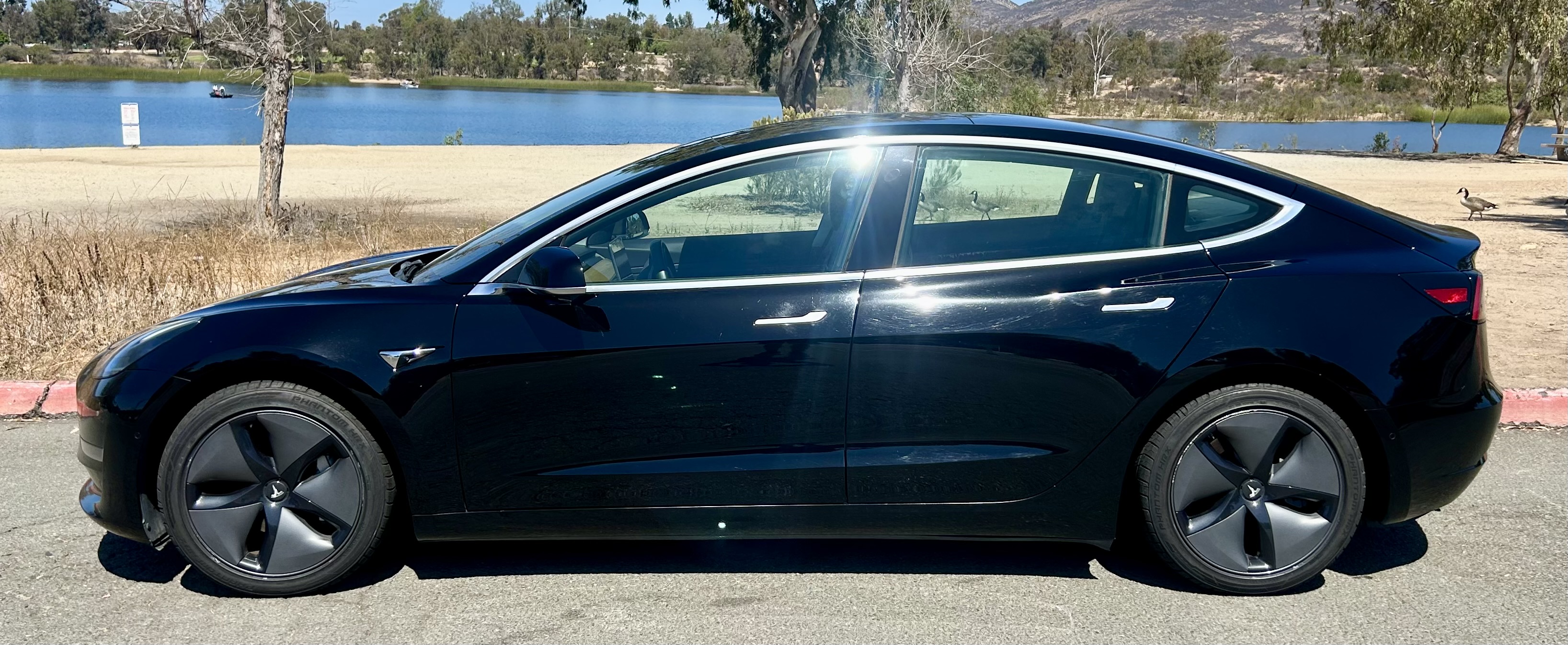 Used 2019 Tesla Model 3 Standard Range Plus RWD image 4