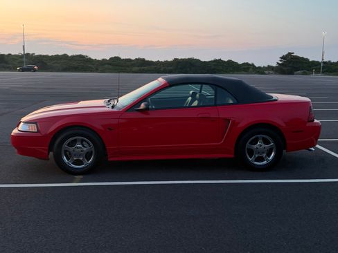 Used 2001 Ford Mustang Premium RWD image 12