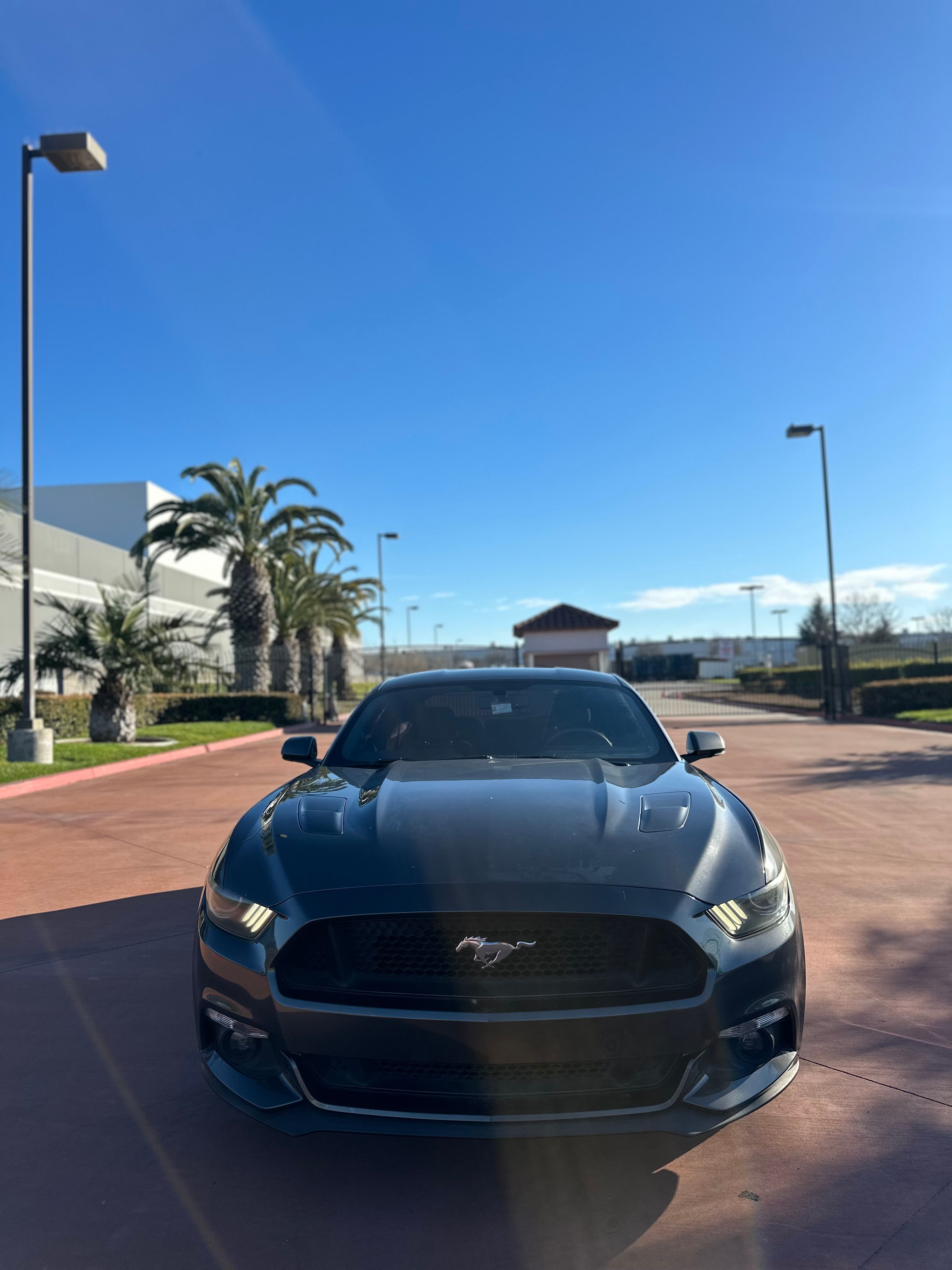 Used 2015 Ford Mustang GT RWD image 4
