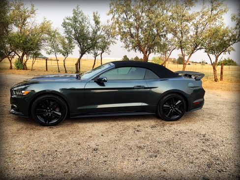 Used 2015 Ford Mustang Premium w/ Ecoboost Performance Package image 2