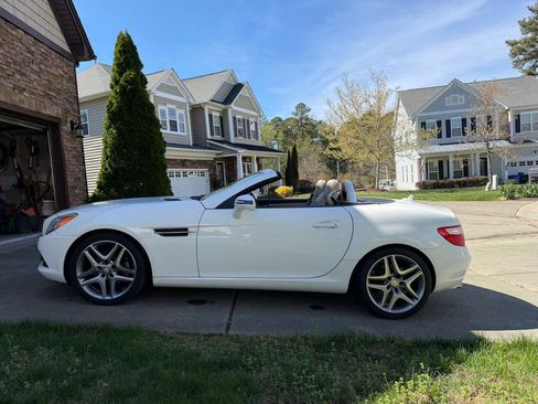 Used 2015 Mercedes-Benz SLK 250 image 8