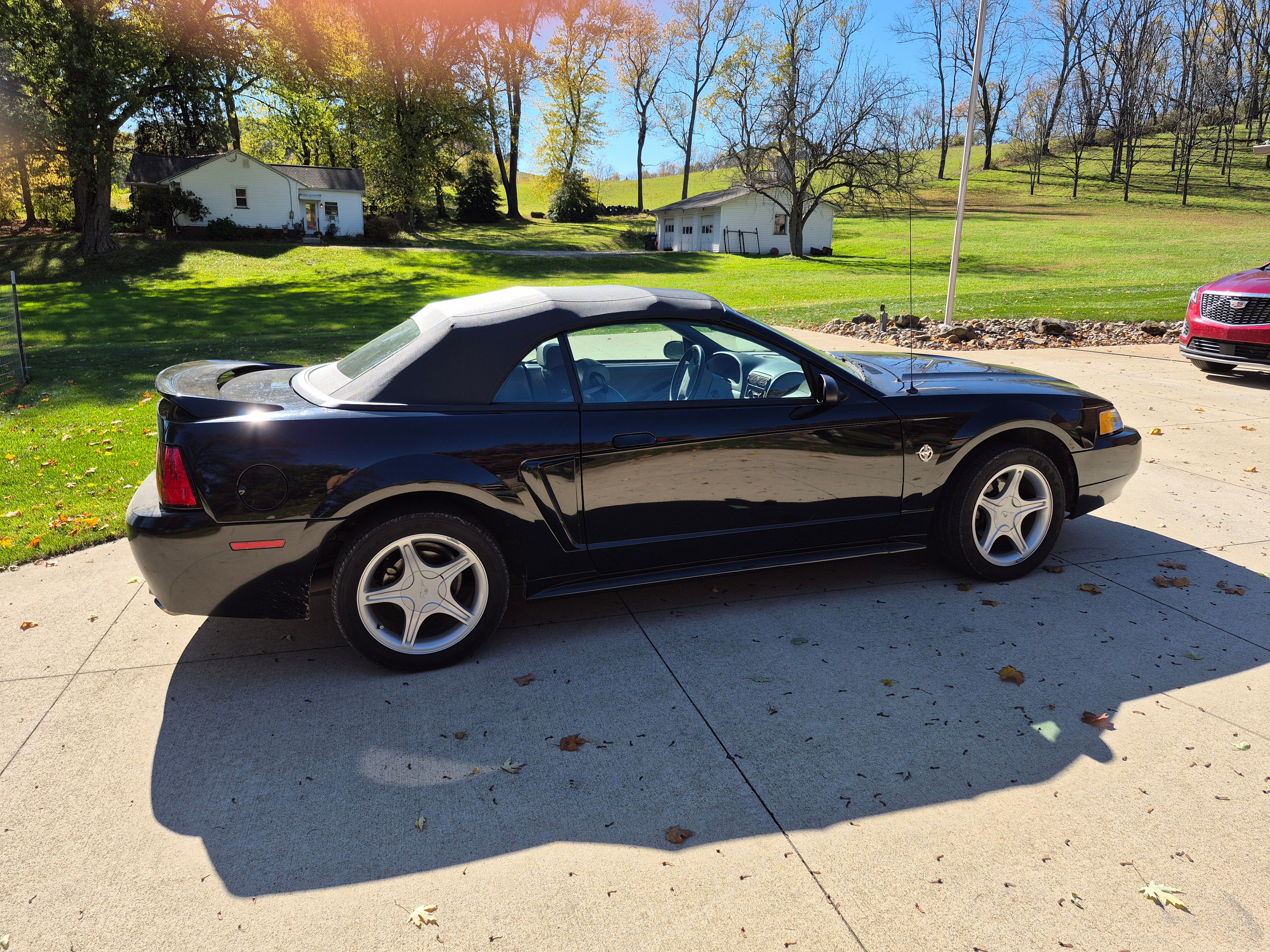 Used 1999 Ford Mustang GT RWD image 6