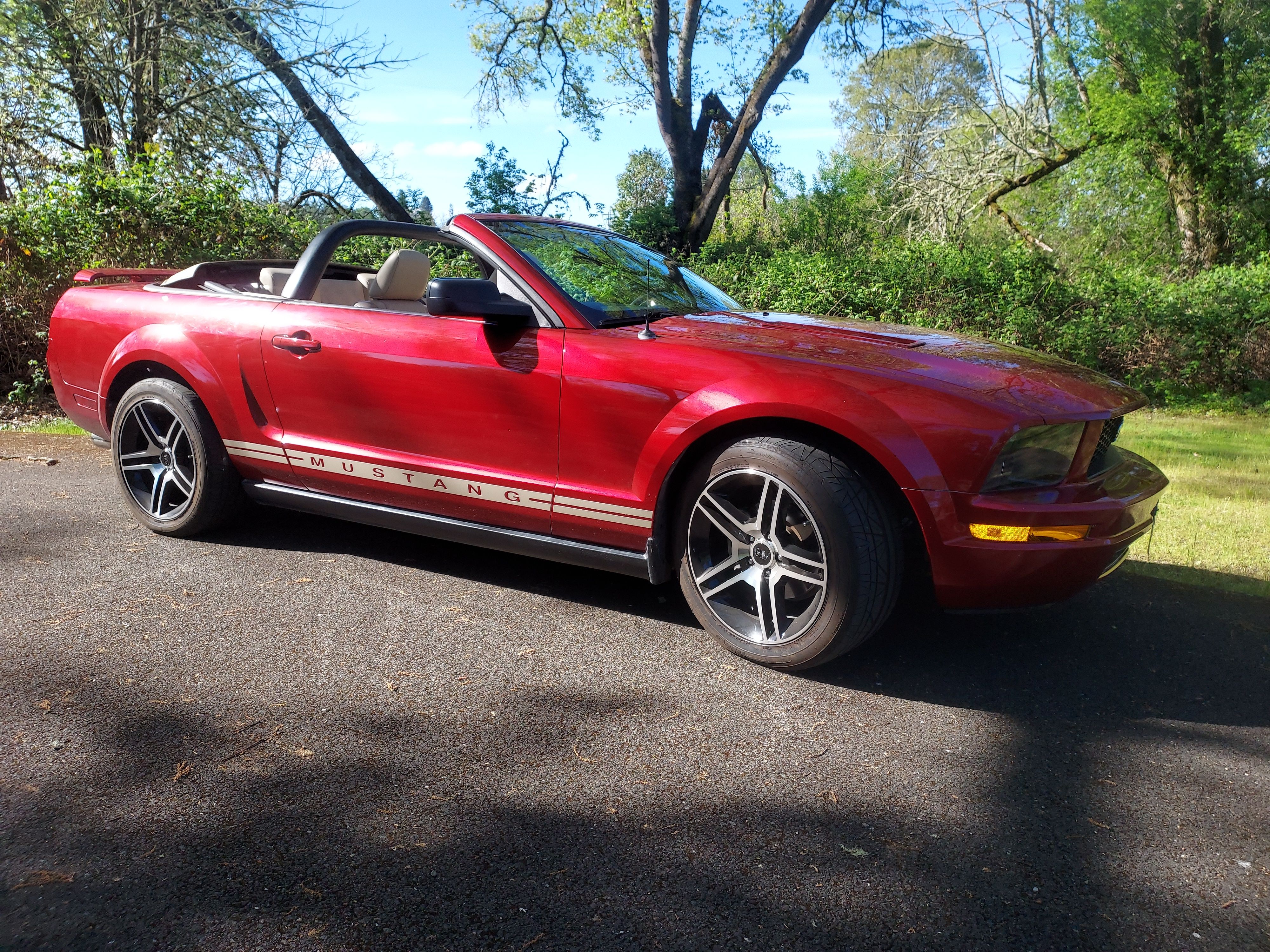 Used 2005 Ford Mustang Premium RWD image 6