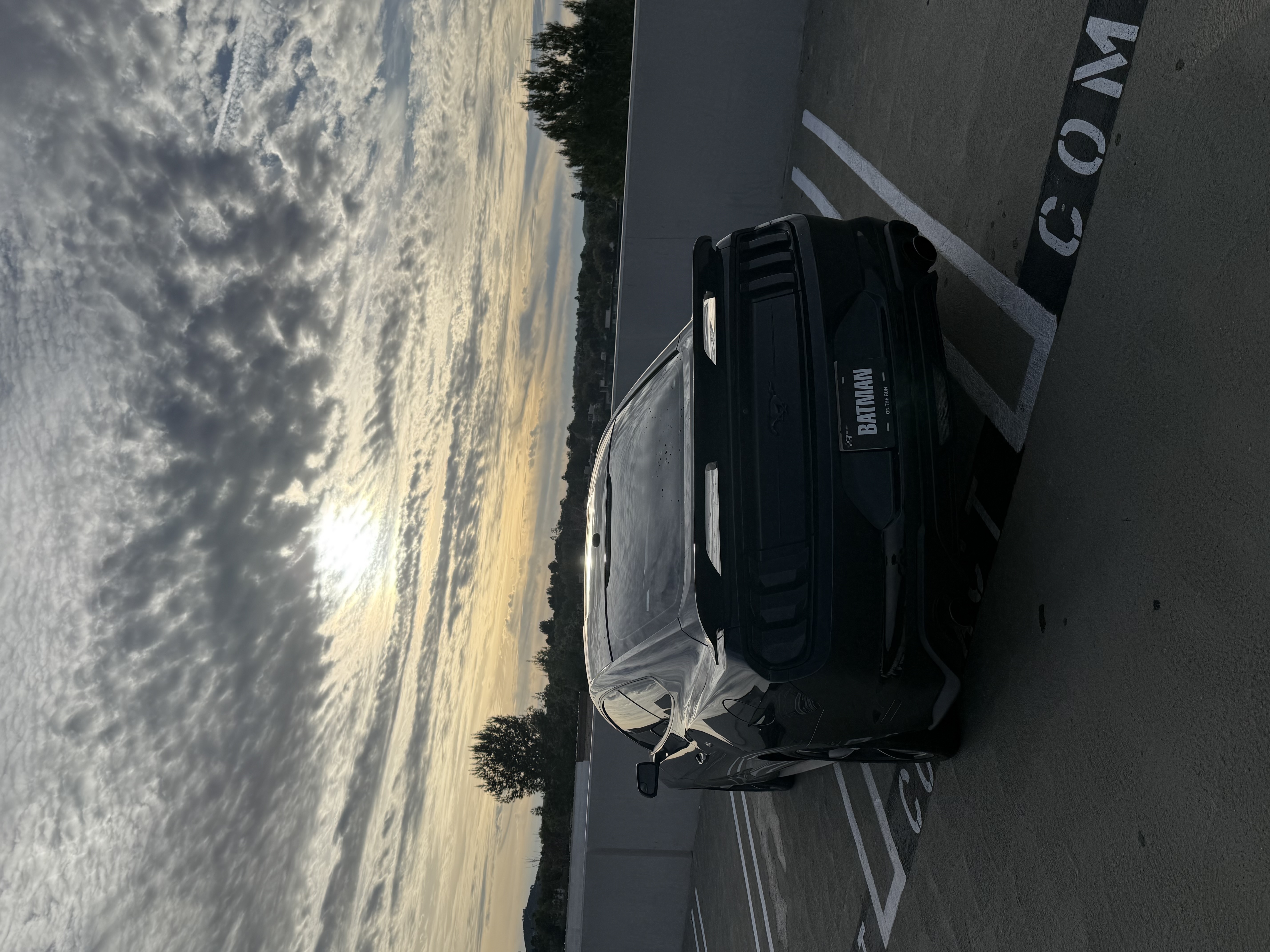 Used 2019 Ford Mustang Coupe RWD image 14