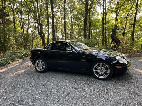 Used 2004 Mercedes-Benz SLK 320 image 10