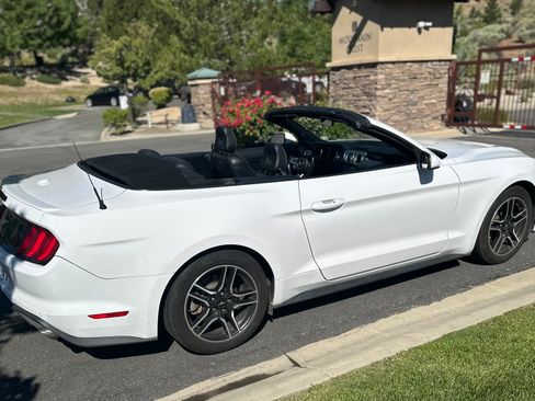 Used 2021 Ford Mustang Premium RWD image 10