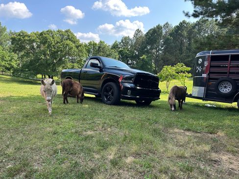 Used 2015 RAM 1500 Express w/ Black Ram 1500 Express Group image 9