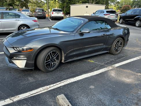 Used 2018 Ford Mustang Premium w/ Equipment Group 201A RWD image 1