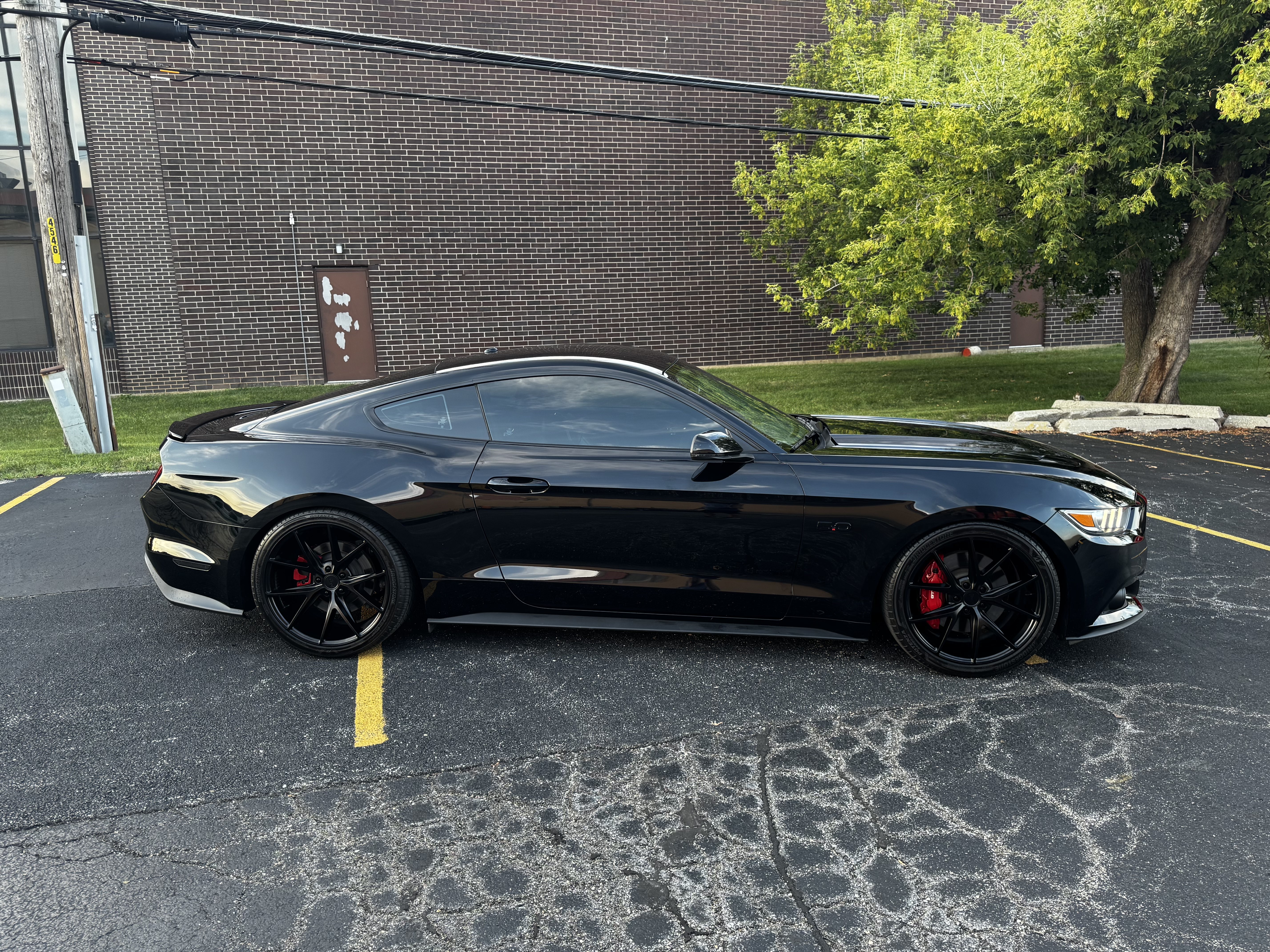 Used 2016 Ford Mustang GT Premium w/ Black Accent Package RWD image 1