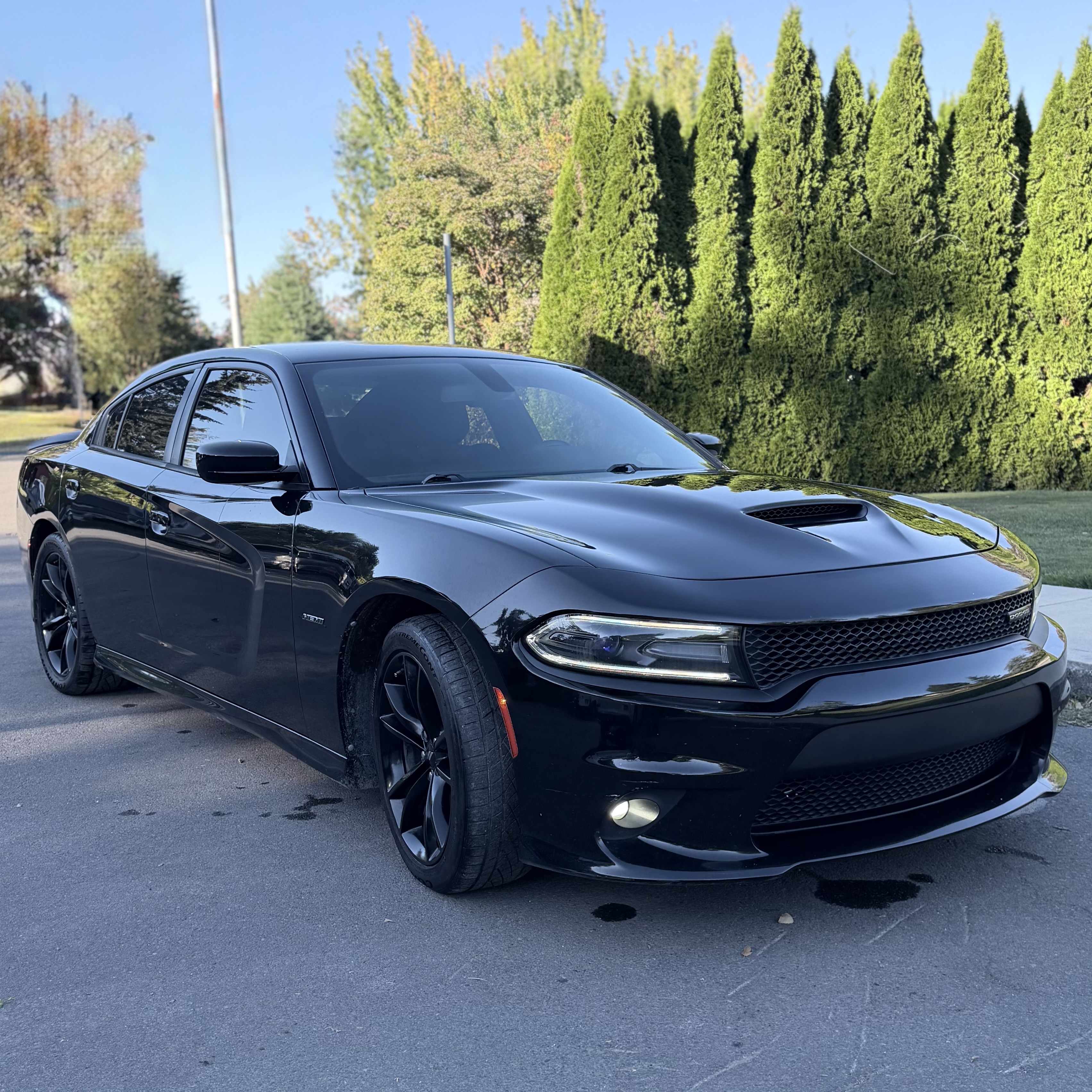 Used 2018 Dodge Charger R/T w/ Blacktop Package RWD image 4