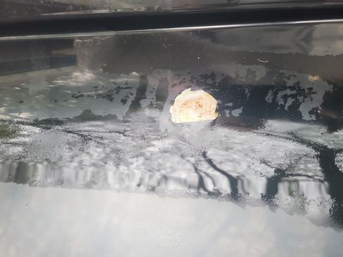 Used 2004 Chevrolet SSR w/ Preferred Equipment Group image 10