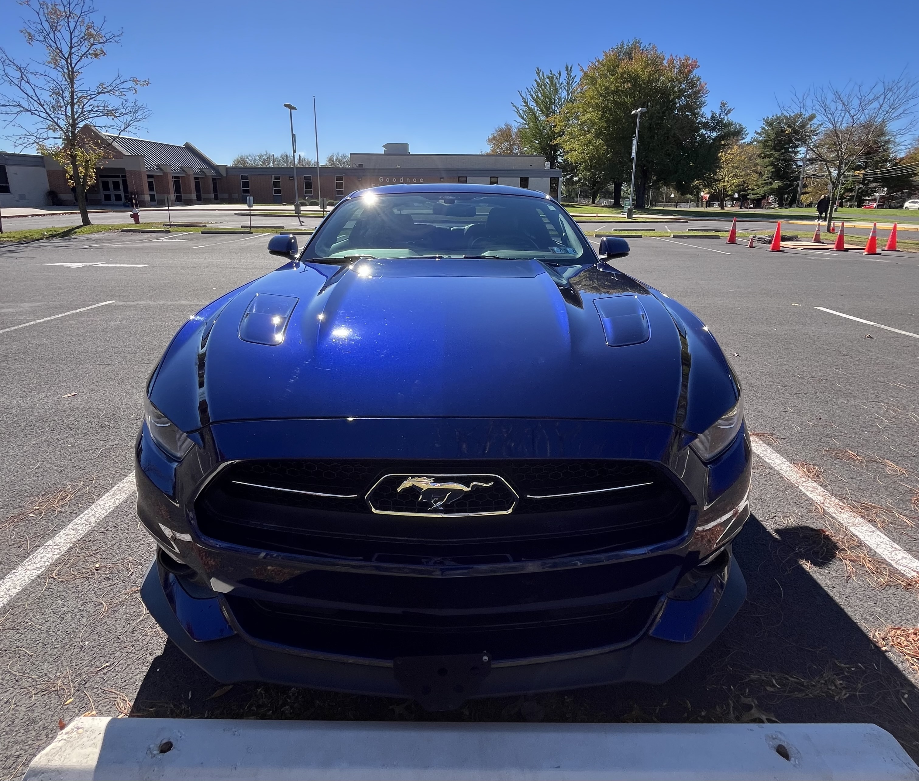Used 2015 Ford Mustang 50 Years RWD image 12