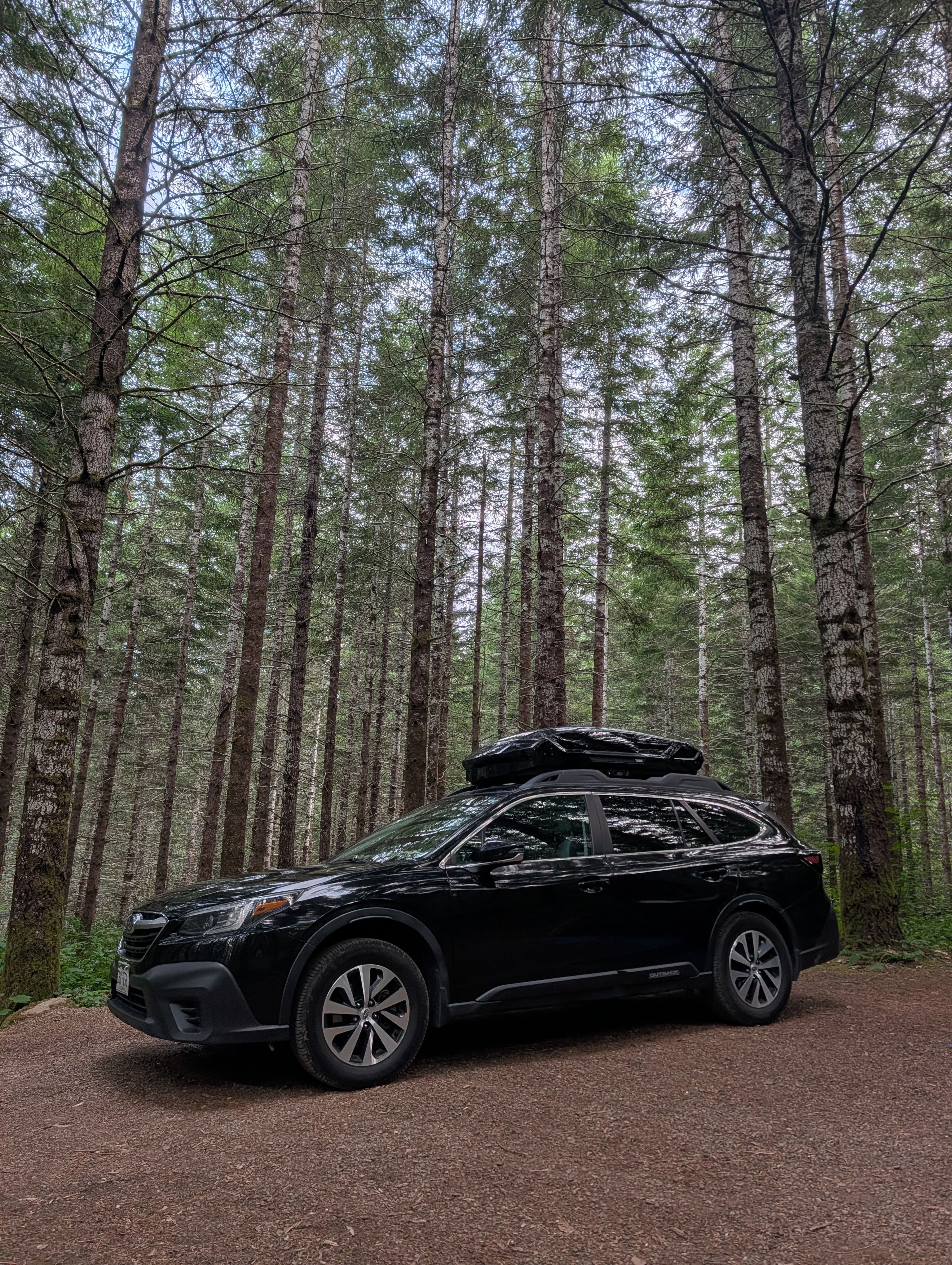 Used 2022 Subaru Outback Premium AWD/4WD image 12