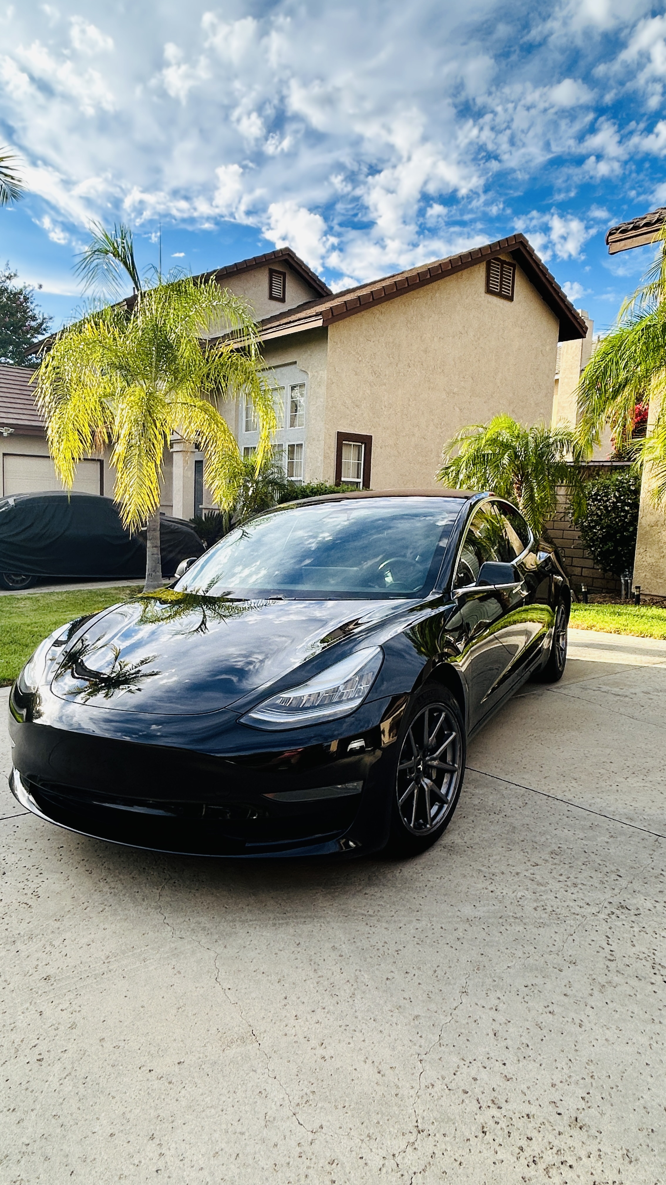 Used 2019 Tesla Model 3 RWD image 4