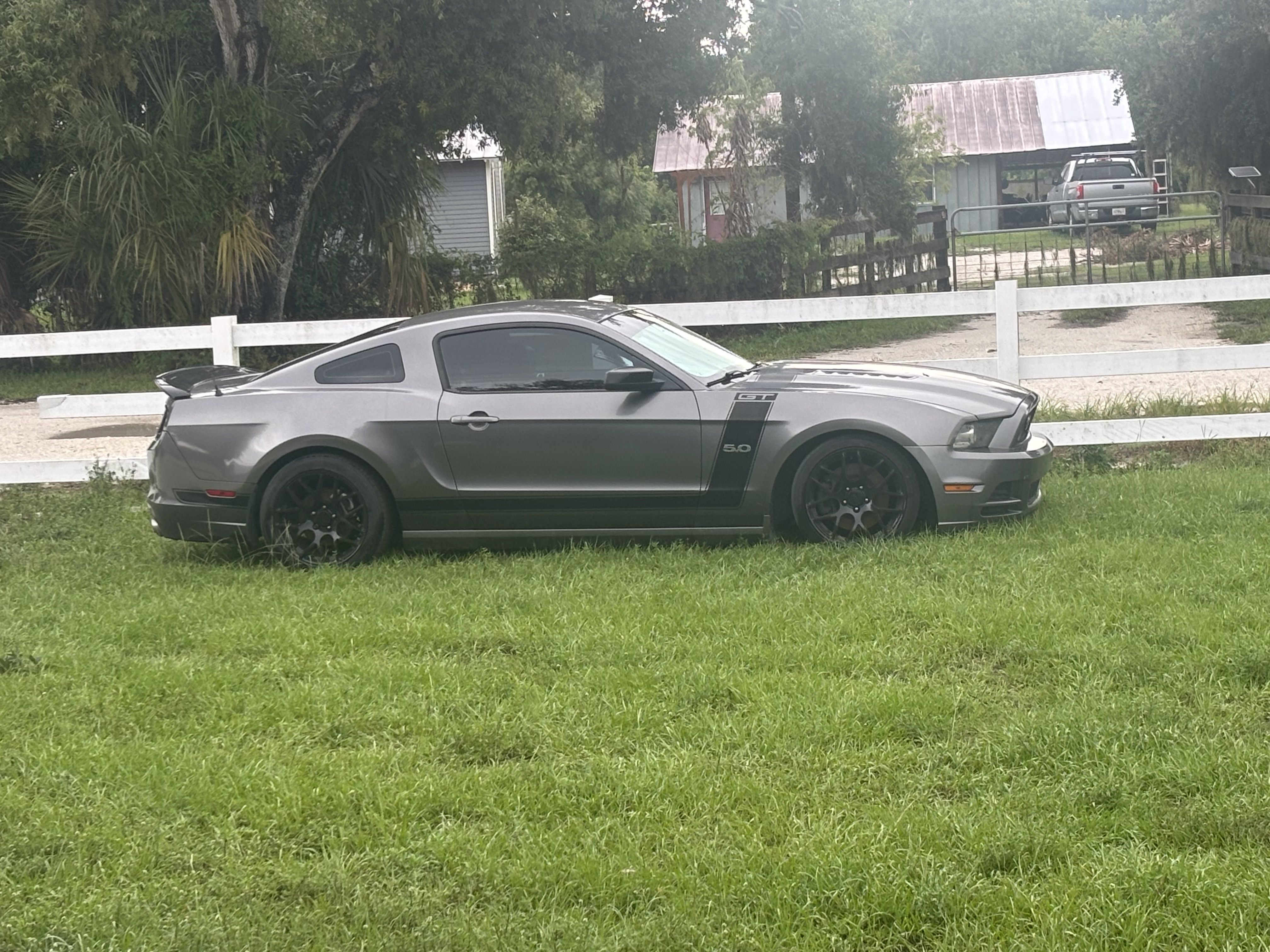 Used 2014 Ford Mustang GT w/ Equipment Group 301A RWD image 5