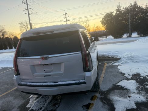 Used 2019 Cadillac Escalade Luxury image 6