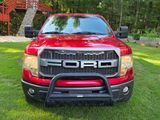 Used 2009 Ford F150 FX4 image 5
