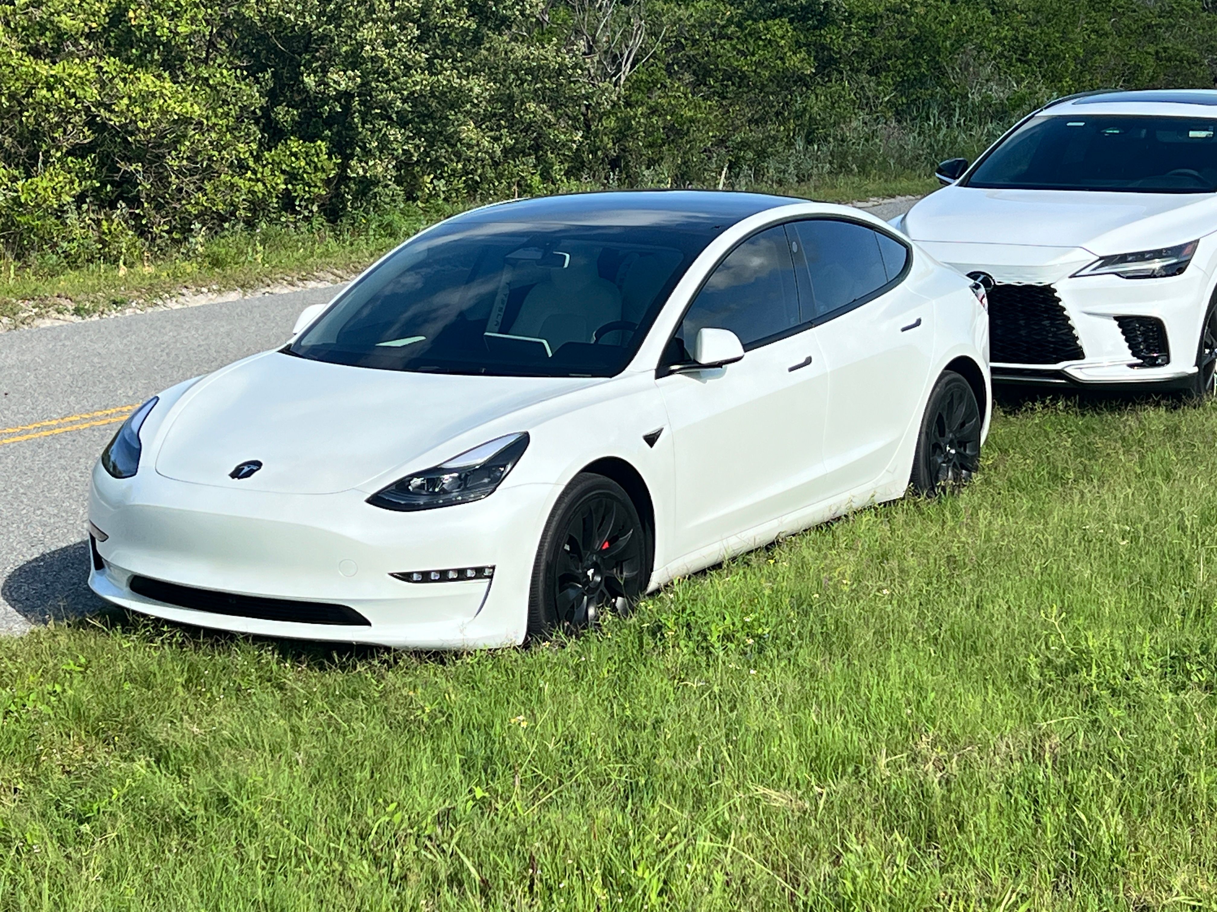Used 2023 Tesla Model 3 Standard Range RWD image 25
