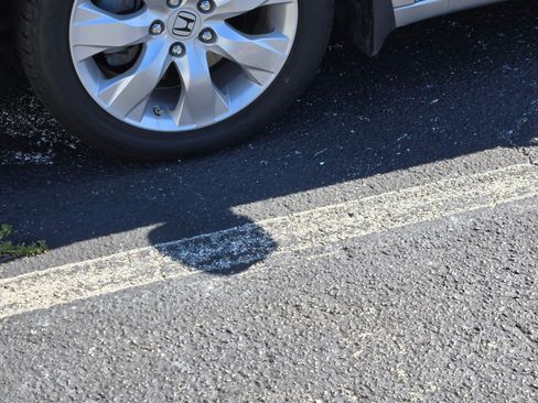 Used 2009 Honda Accord EX-L image 8