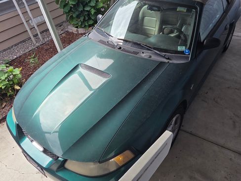 Used 2001 Ford Mustang Premium image 4