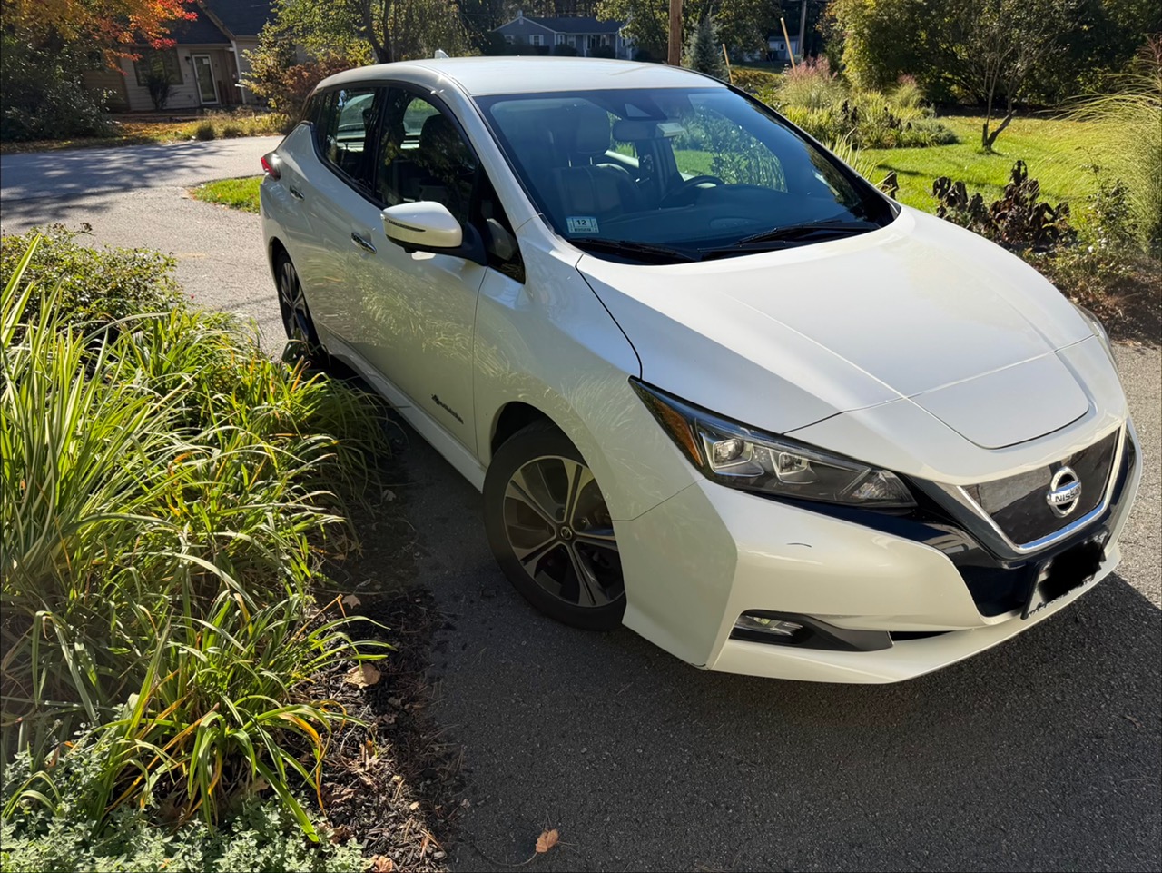 Used 2019 Nissan Leaf SL w/ SL Technology Package FWD image 4