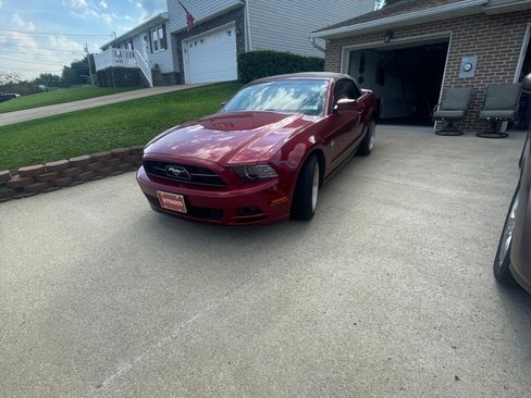 Used 2014 Ford Mustang Premium w/ Equipment Group 202A RWD image 16