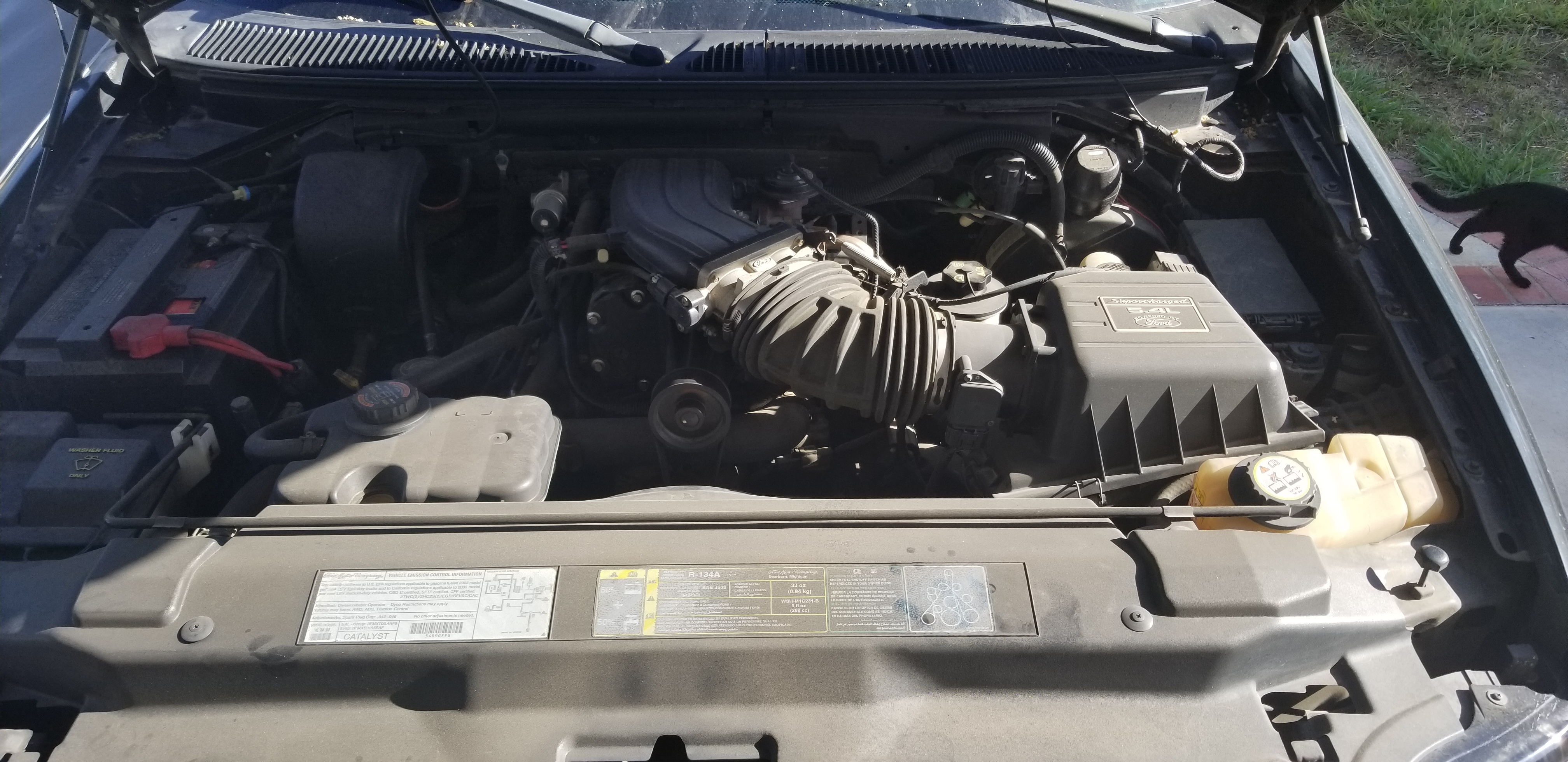 Used 2003 Ford F150 Harley-Davidson RWD image 17