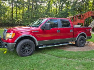 Used 2009 Ford F150 FX4 image 1