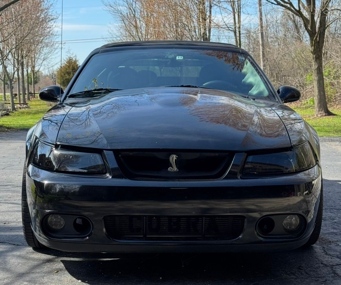 Used 2004 Ford Mustang Cobra RWD image 1