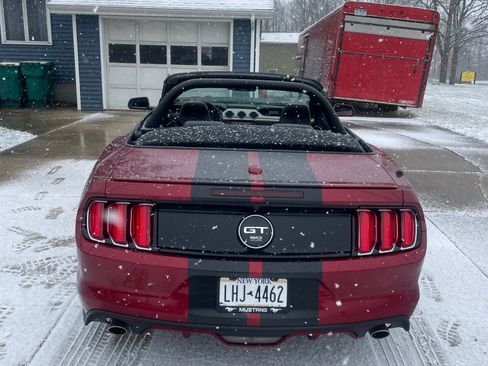 Used 2015 Ford Mustang GT Premium w/ Equipment Group 401A image 11