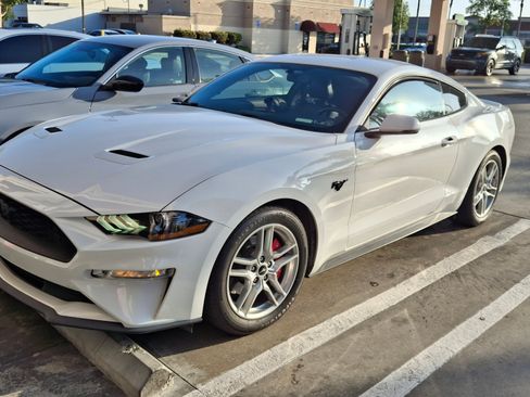 Used 2019 Ford Mustang Premium image 1