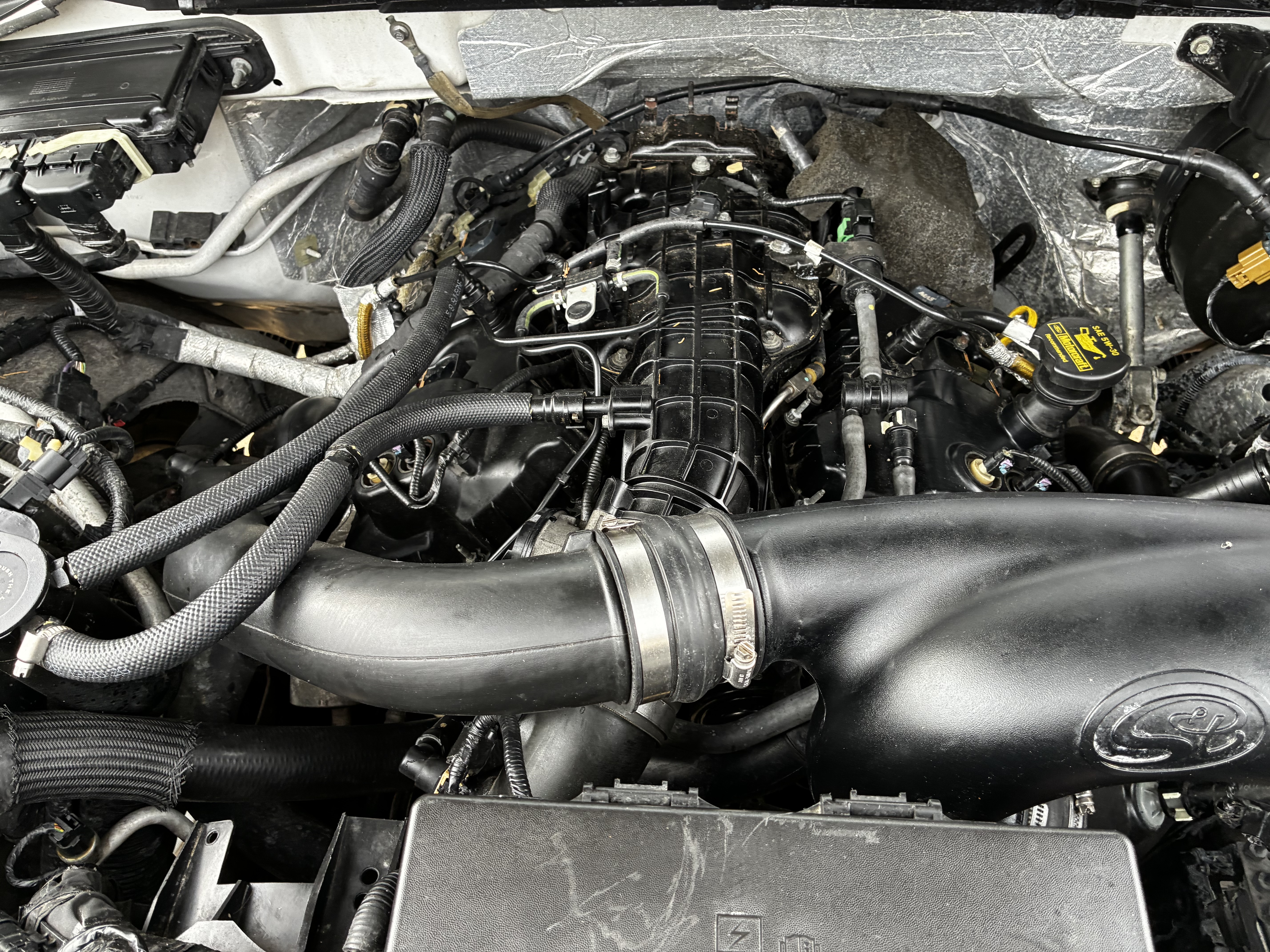 Used 2013 Ford F150 Limited AWD/4WD image 4