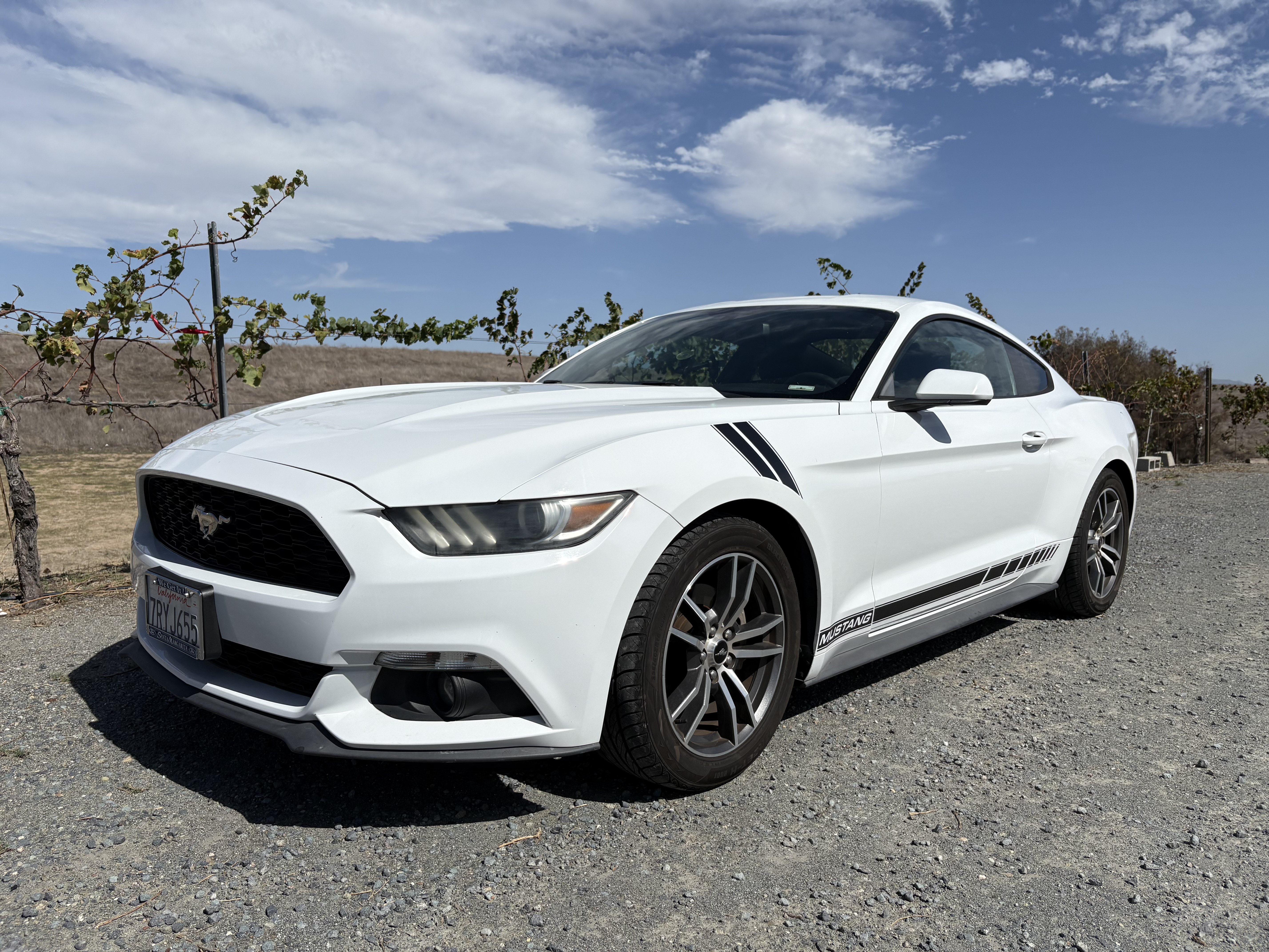 Used 2016 Ford Mustang Coupe RWD image 1