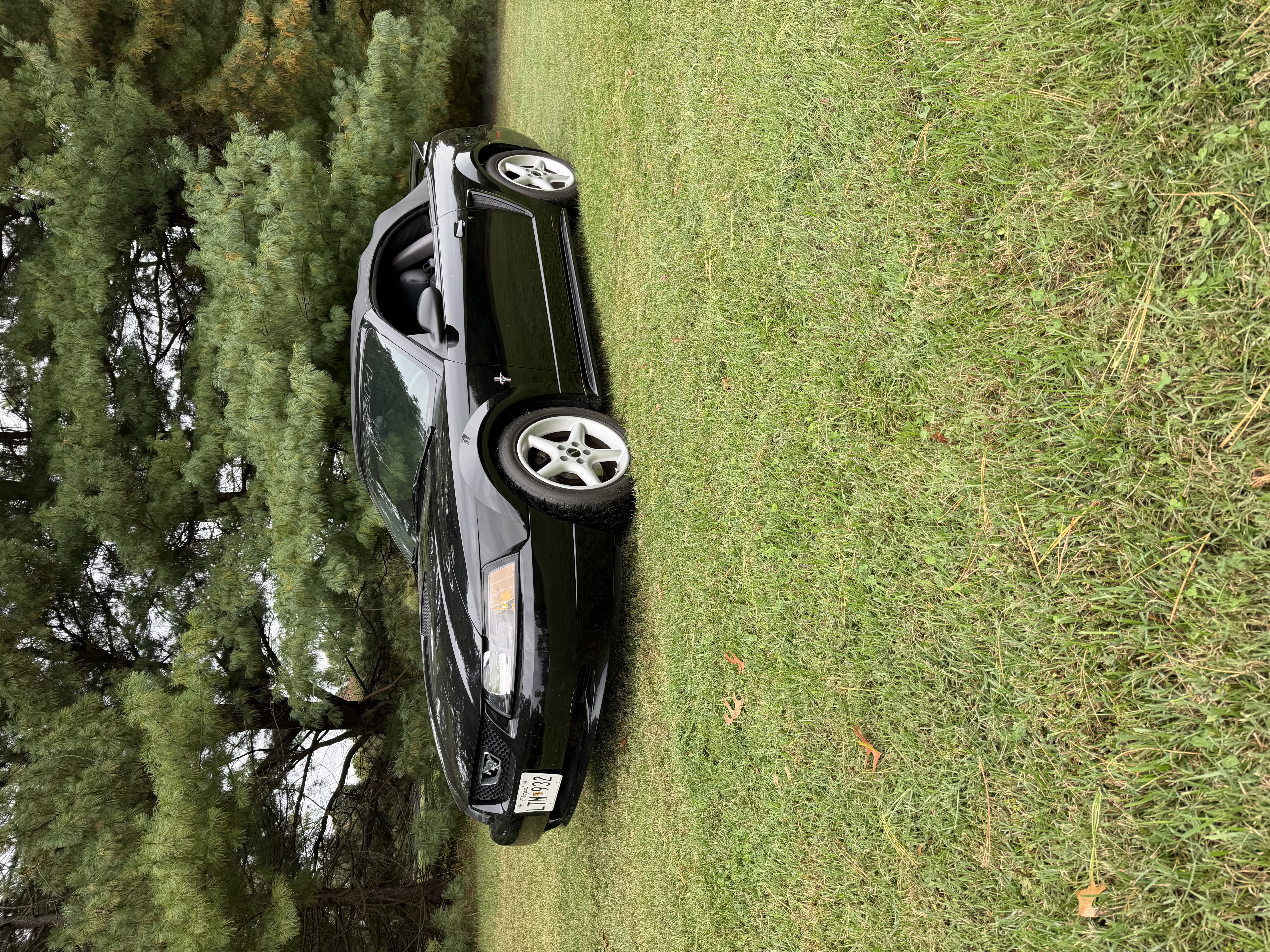 Used 2001 Ford Mustang Premium RWD image 1