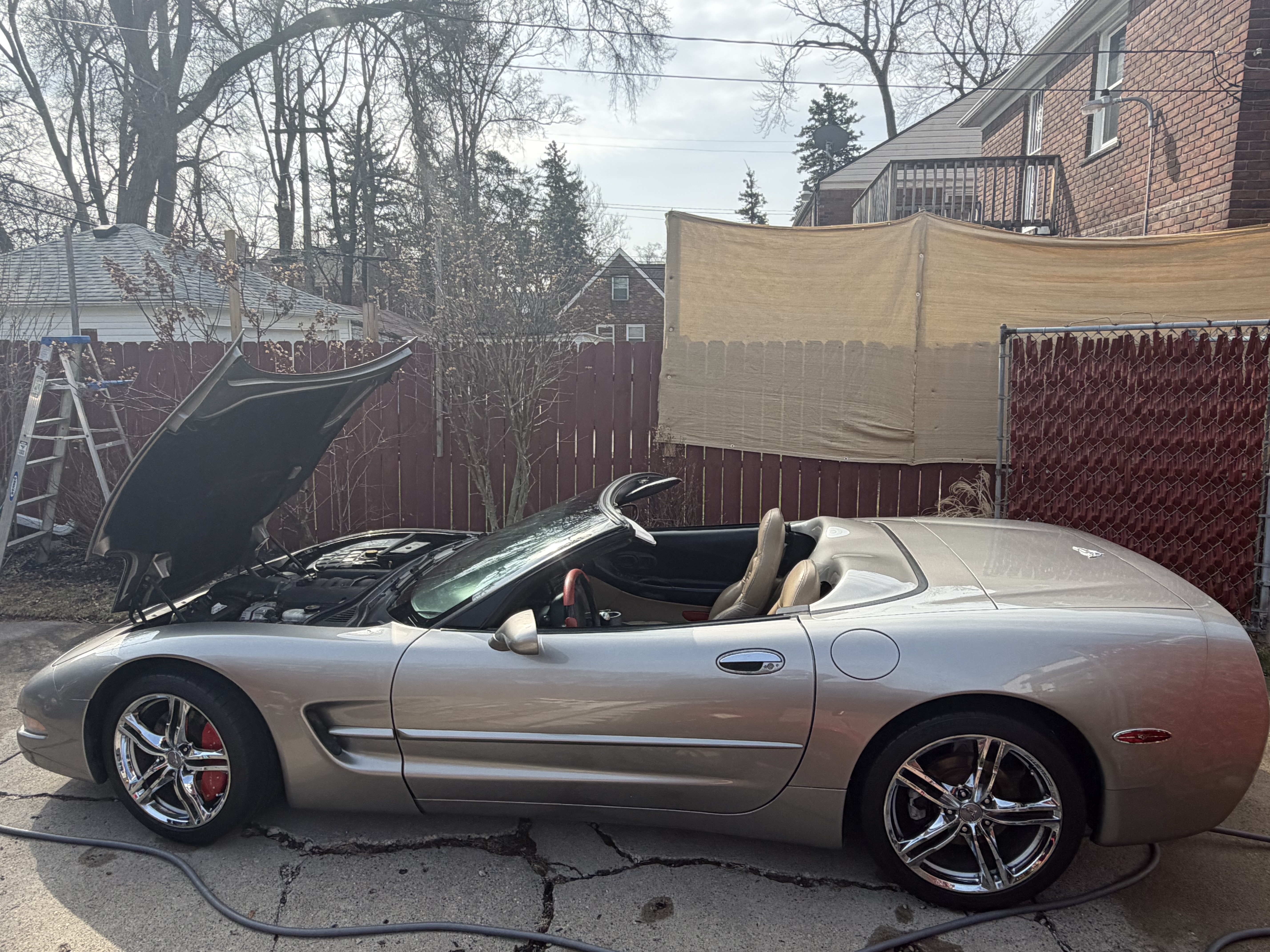 Used 2000 Chevrolet Corvette Convertible w/ Memory Pkg RWD image 18