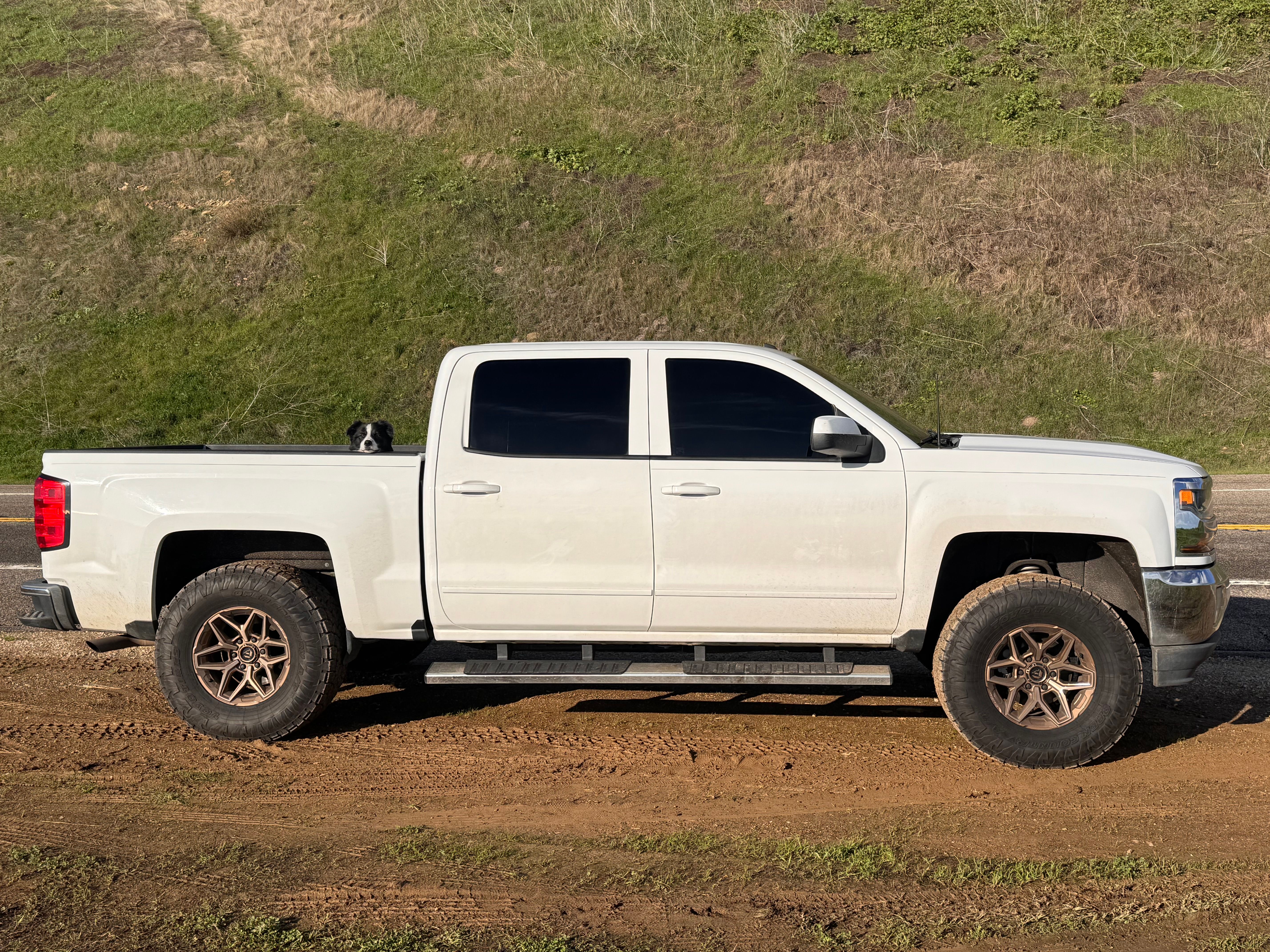 Used 2018 Chevrolet Silverado 1500 LT w/ Texas Edition RWD image 17