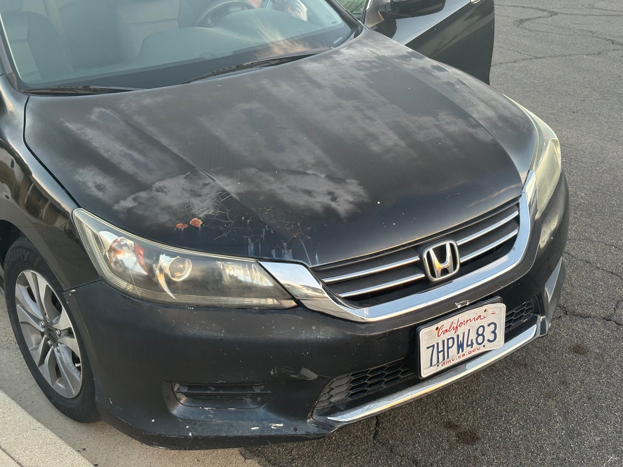 Used 2014 Honda Accord LX image 5