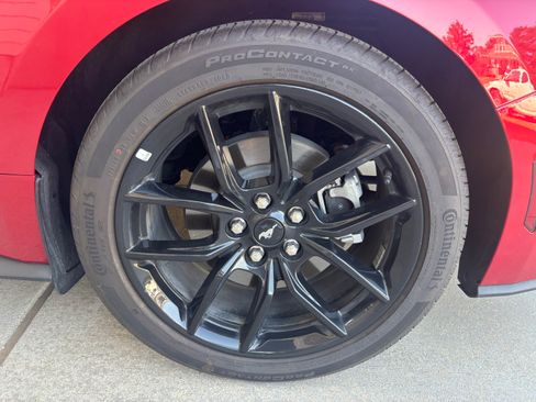 Used 2024 Ford Mustang Coupe w/ Mustang Nite Pony Package RWD image 12