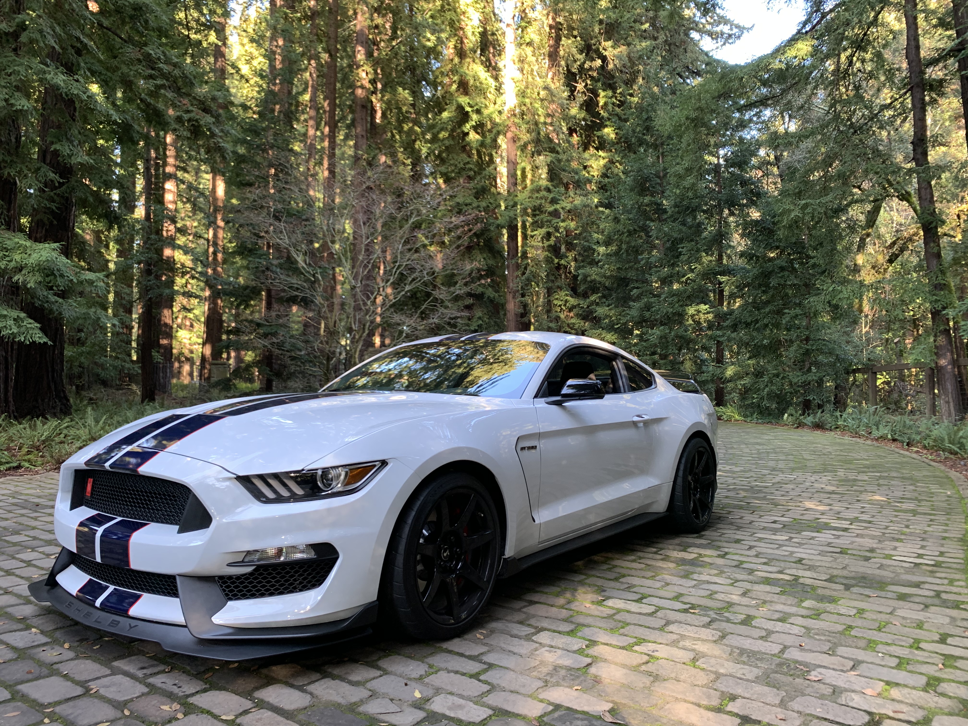 Used 2019 Ford Mustang Shelby GT350R w/ GT350R Equipment Group 920A RWD image 1