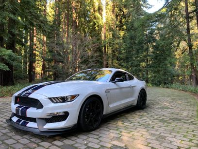 Used 2019 Ford Mustang Shelby GT350R w/ GT350R Equipment Group 920A