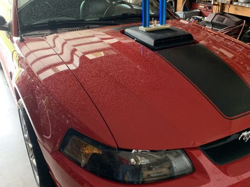 Used 2004 Ford Mustang Mach 1 image 5