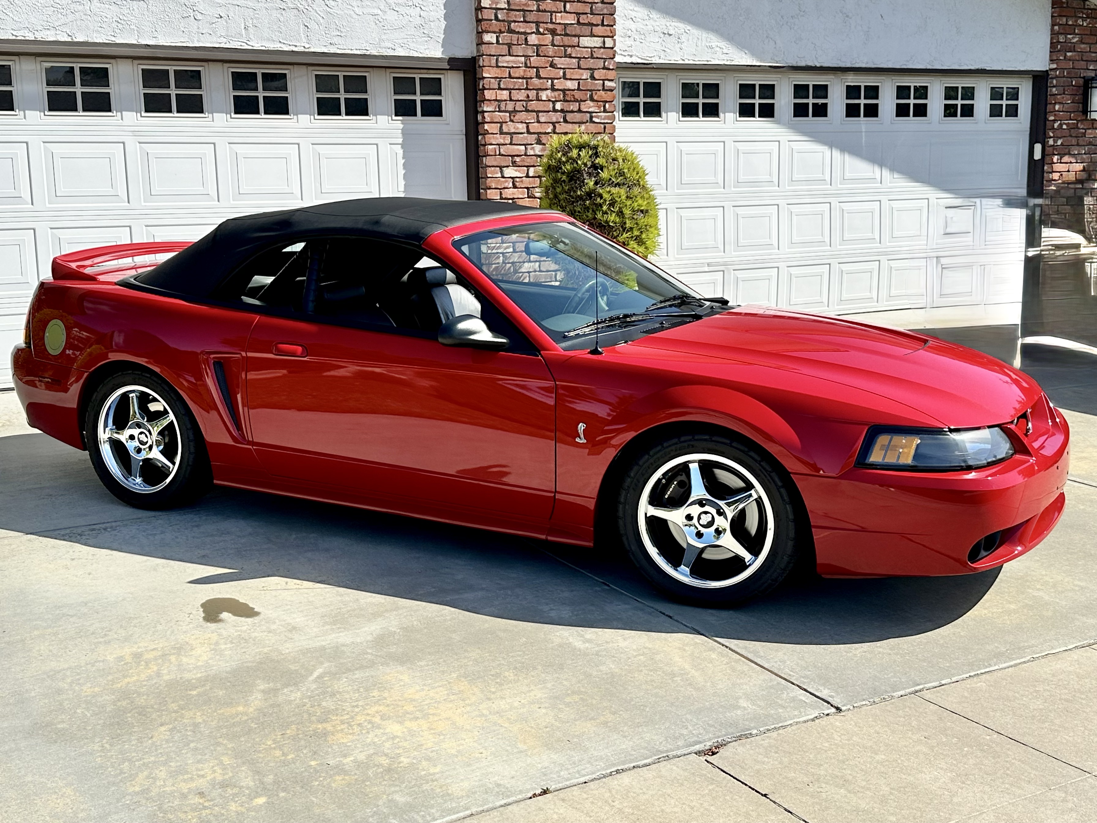Used 1999 Ford Mustang Cobra RWD image 2