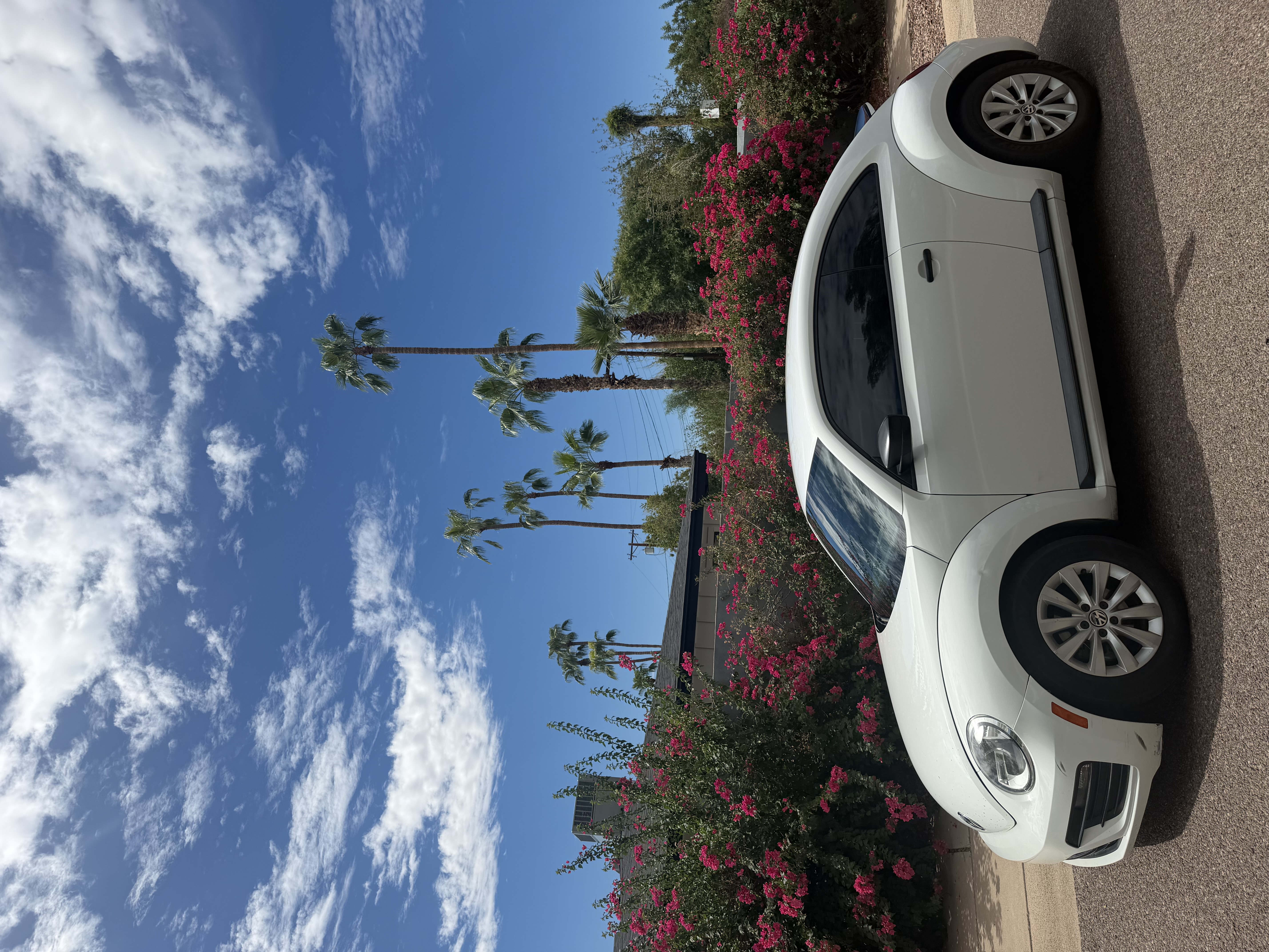 Used 2017 Volkswagen Beetle 1.8T S FWD image 1