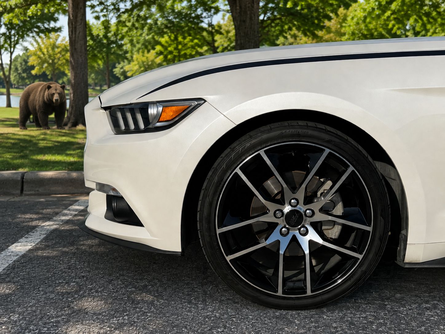 Used 2017 Ford Mustang Premium w/ Equipment Group 201A RWD image 8