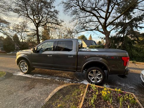 Used 2019 Ford F150 Platinum image 2