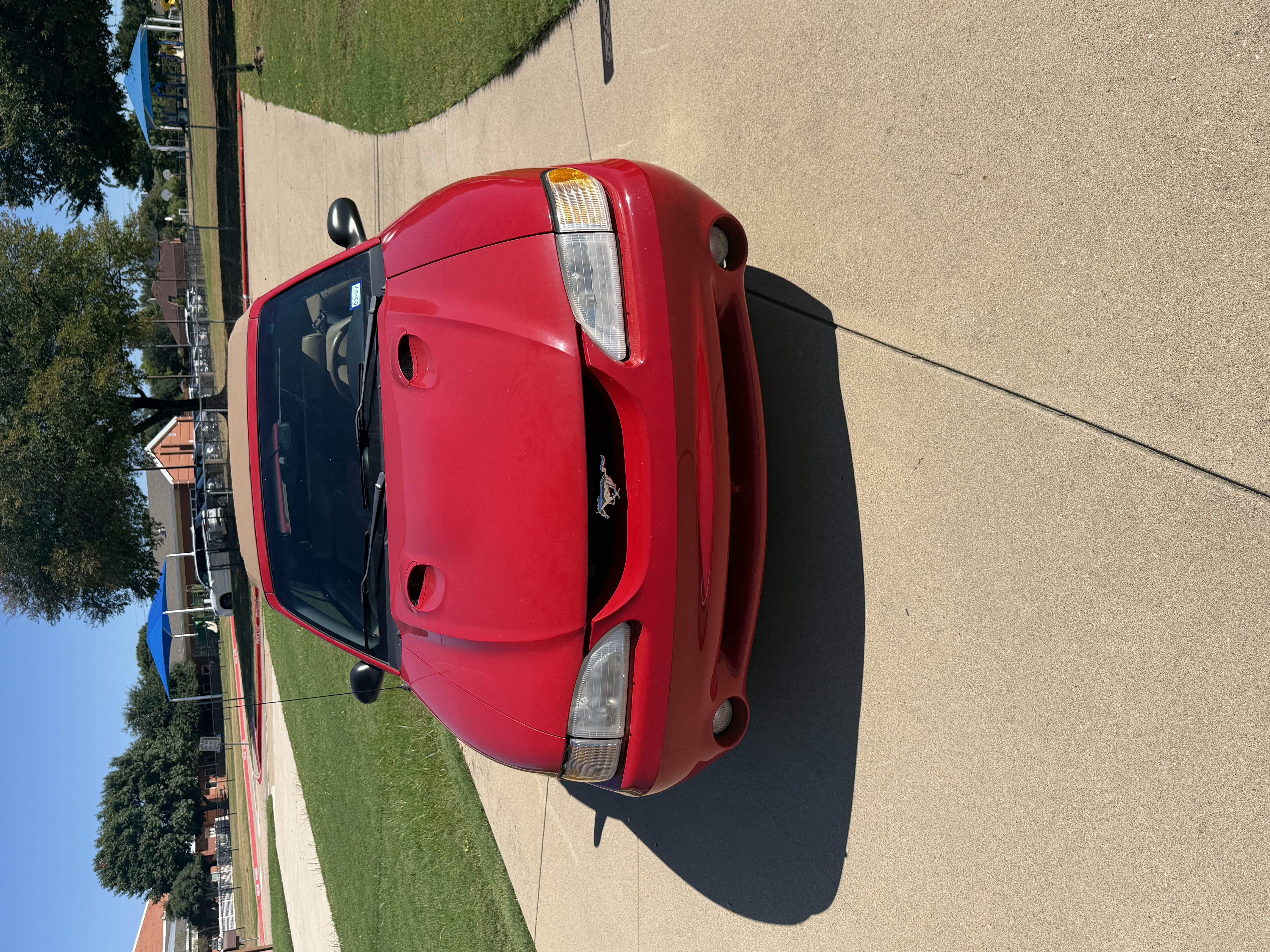 Used 1997 Ford Mustang Cobra RWD image 1