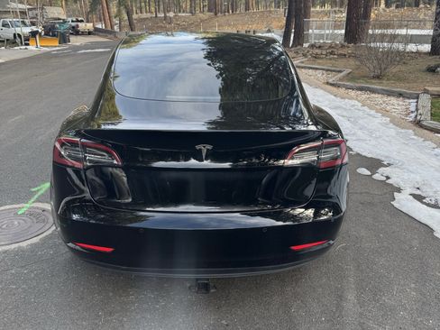 Used 2019 Tesla Model 3 Standard Range Plus image 6